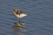 2009-09-23_ChevalierCombattant_9406