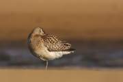 2008-09-12_BargeRousse_3772