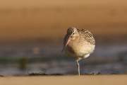 2008-09-12_BargeRousse_3780