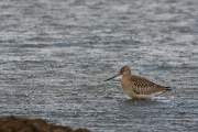 2008-09-12_BargeRousse_4224