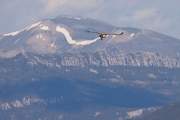 2009-05-18_VautourFauve_3798